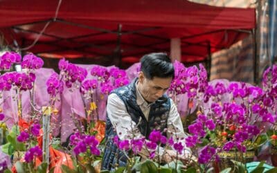 Blommor är ute ur kinesiska Alla hjärtans dag