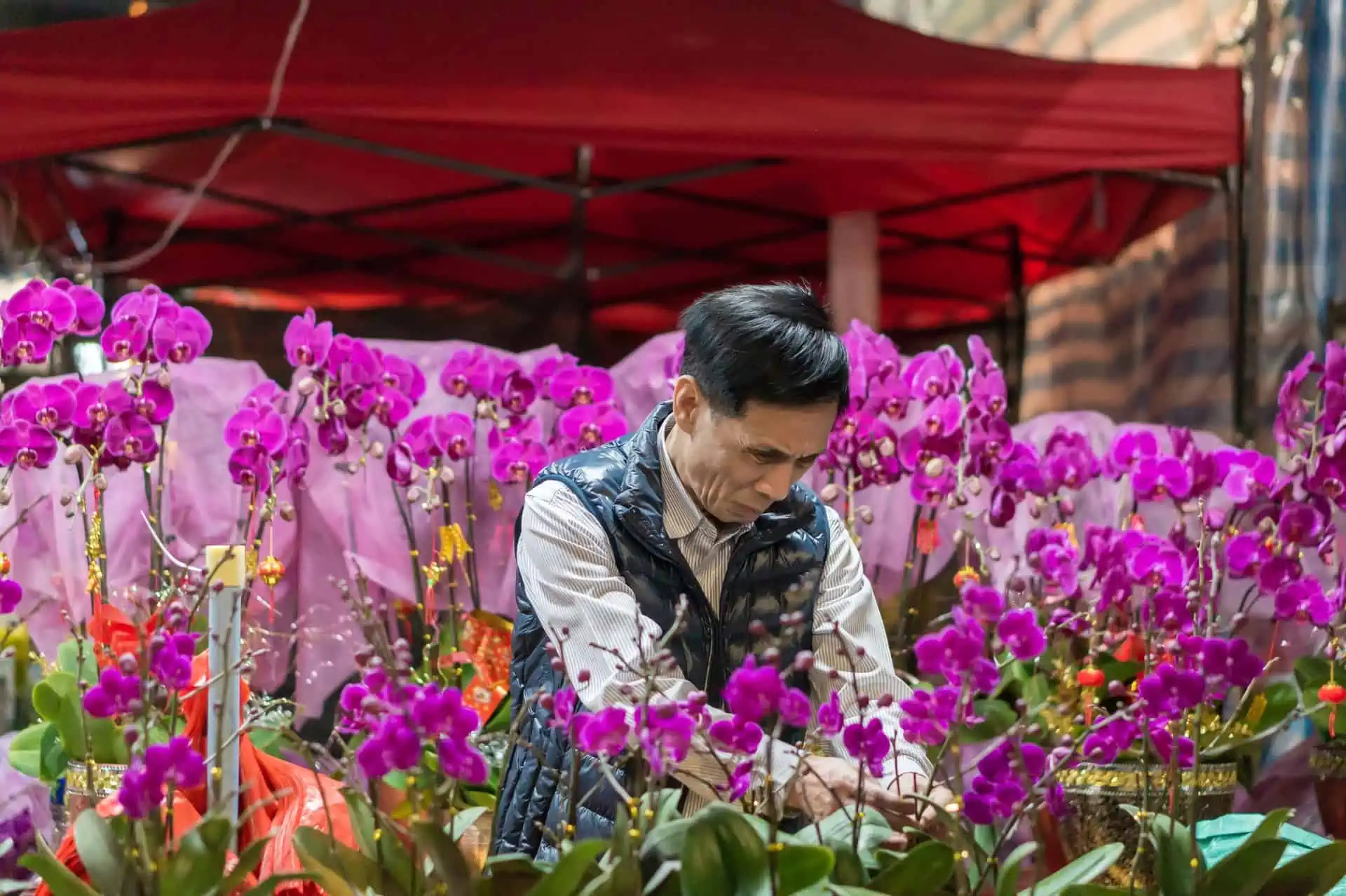 Blomster er ude af den kinesiske valentinsdag