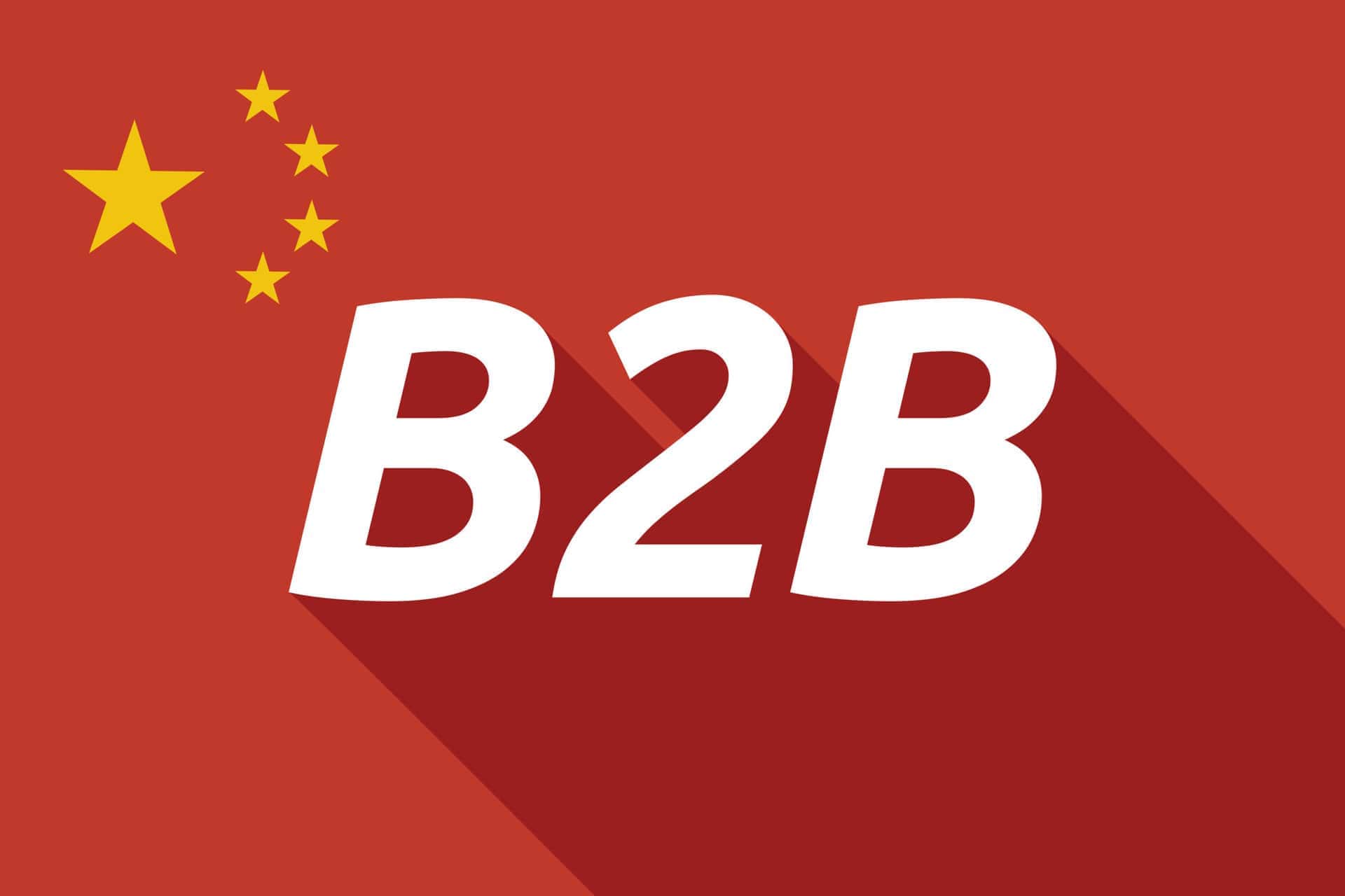 NBH-opas: B2B Marketing Strategy for China